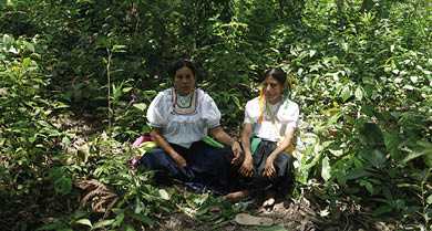 DOS YACHAK. Mujeres conocedoras de las propiedades curativas de las plantas medicinales.