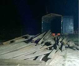 madera incautada