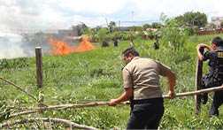 INCENDIO EN CEMENTERIO DE TARAPOTO