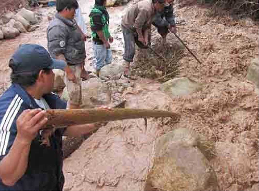 Inundaciones en Moyobamba  Diario Voces