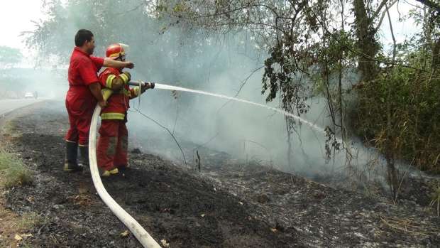 Incendio forestal