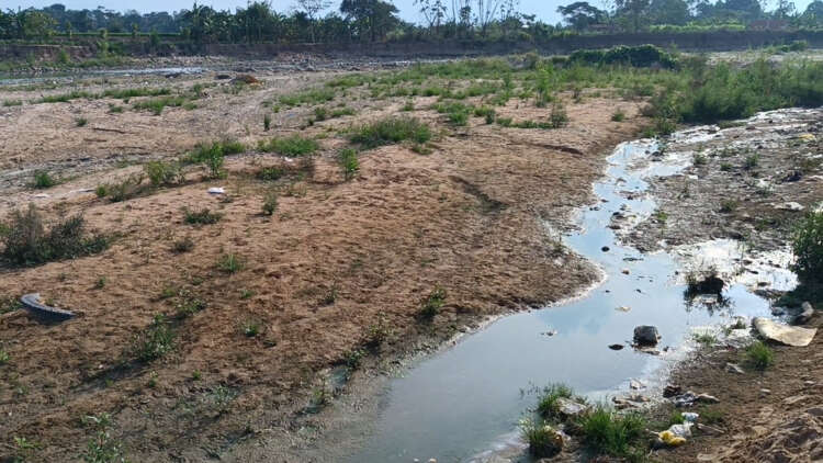 Cambio climático amenaza el servicio de agua potable en la Región San Martín1