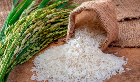 En el Perú producción de arroz alcanzó las 268.123 toneladas en julio del presente año