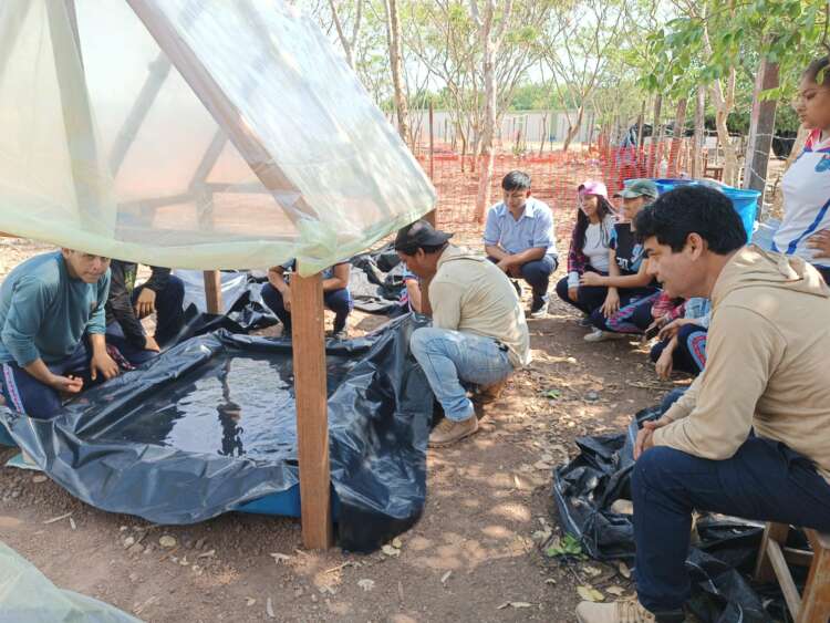 Estudiantes de la I.E. Alberto Leveaú García ejecutan proyecto de invernadero escolar1