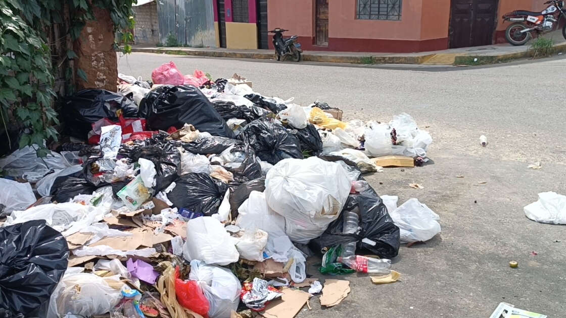 Acumulación de basura y falta de servicio de baja policía preocupan a vecinos de Bernabé Guridi1