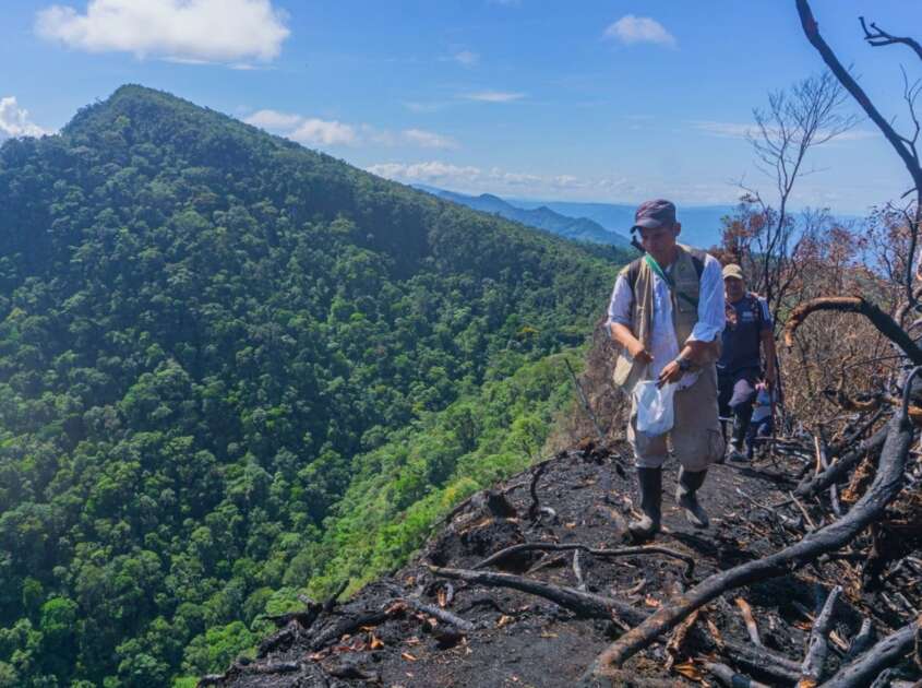 Crecen incendios forestales en la Amazonía peruana