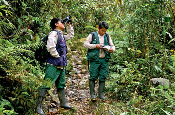 Aprueban La Ley Del Cuerpo De Guardaparques Del Perú Hito Histórico En