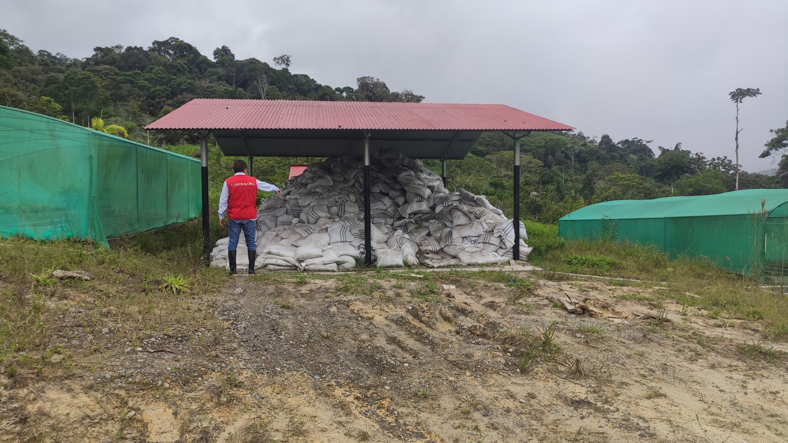 Deficiencias en reforestación para recuperar cuenca hídrica de Juninguillo en Moyobamba2