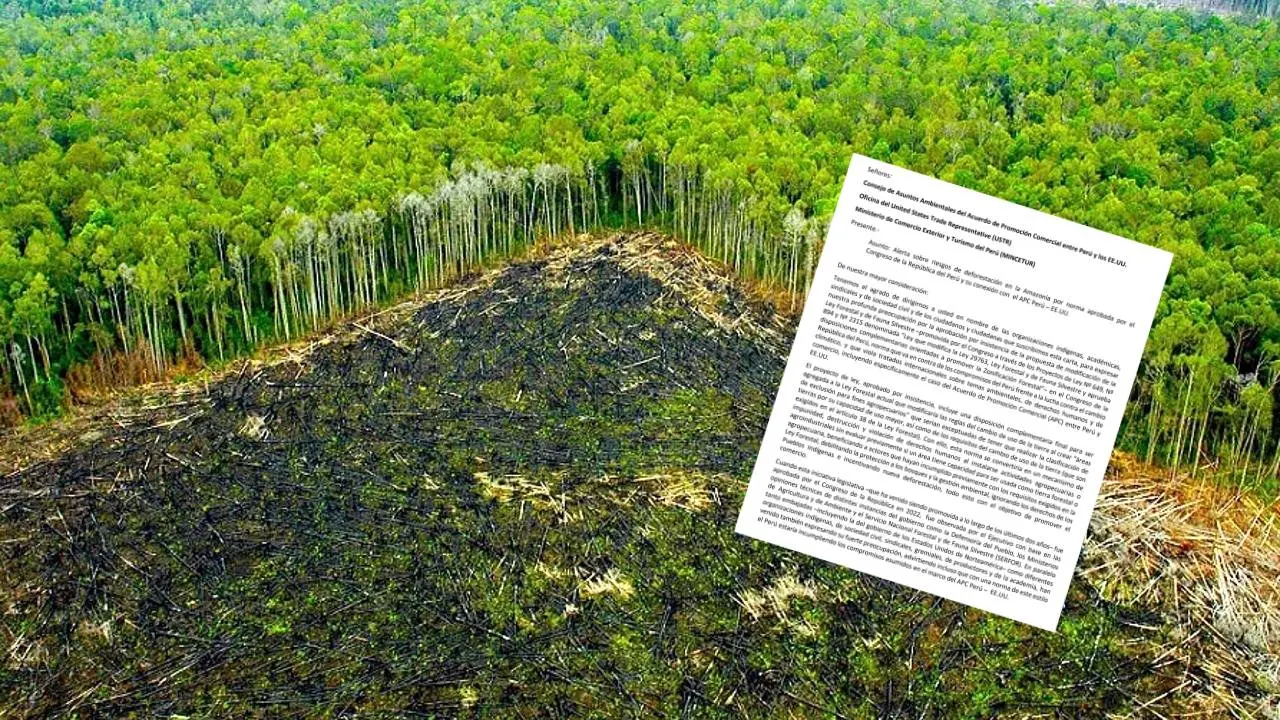 Alrededor de 112 organizaciones indígenas, agrarias y ONGs rechazan en carta a EE.UU. cambios a Ley Forestal aprobados en diciembre por Congreso peruano