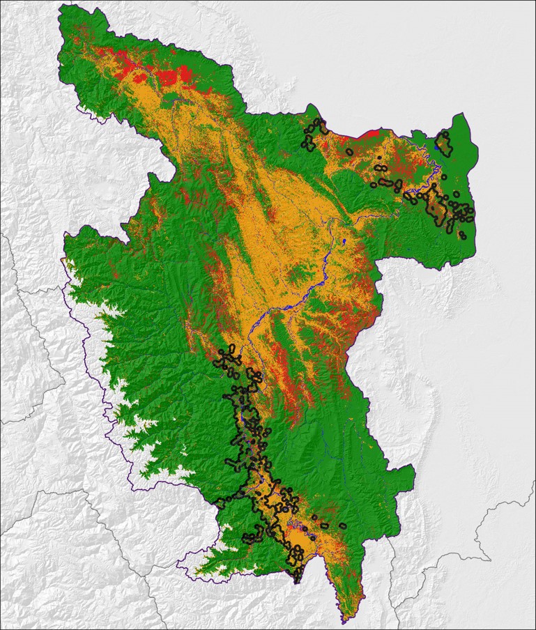 En 2010, San Martín tenía 451 kha de cobertura arbórea, que se extendía por el 93% de su zona terrestre. En 2022, perdió 3.74 kha de cobertura arbórea, equivalente a 2.42 Mt emisiones de CO₂.