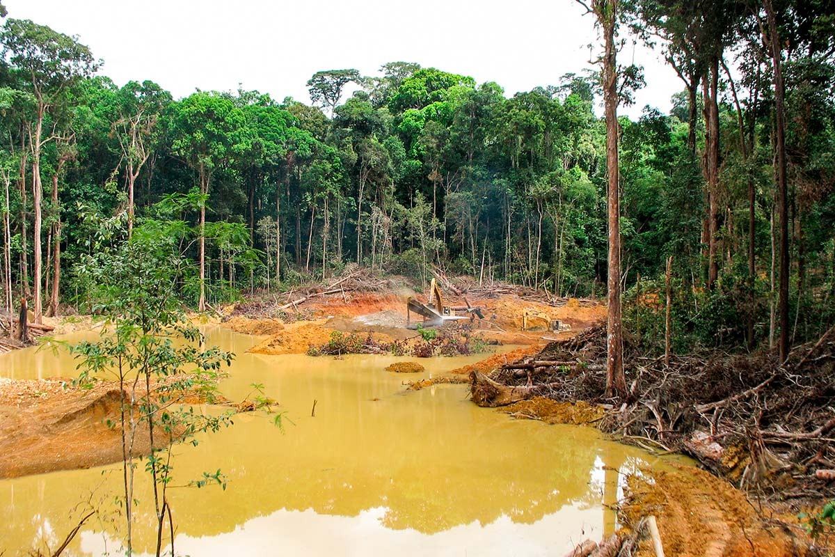 Ley aprobada pretende regularizar la deforestación ilegal efectuada.1