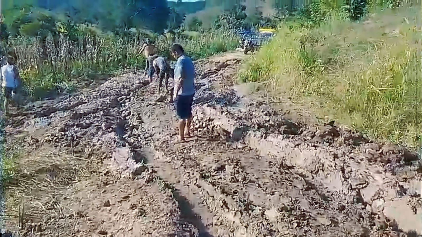 Agricultores de Fausa Sapina toman acción ante el abandono de las autoridades locales1