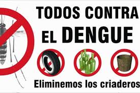 En Moyobamba y Tocache se ejecutarán acciones de prevención contra el dengue1