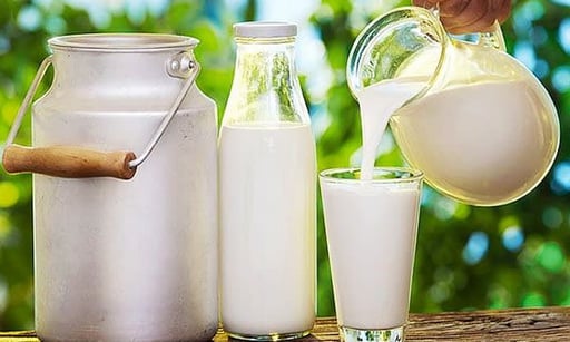 En Cunumbuque la produccion diaria de leche es de 5.5 litros por vaca aproximadamente 12100 litros diarios1