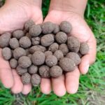 “Si no cuidamos el medio ambiente, se cae la economía: la Amazonía sostiene la vida y el futuro del país”