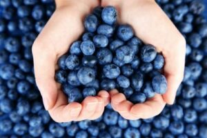 Estos son los 10 principales productos agrícolas de exportación del Perú