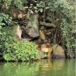 Detectan presunta extracción ilegal de piedra laja en la faja marginal del Lago Sauce y advierten riesgo de deslizamientos