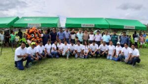 Mejoran cadena productiva de Palma Aceitera a través de un proyecto