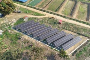 San Martín: Laboratorio producirá seis millones de alevines de tilapia al año