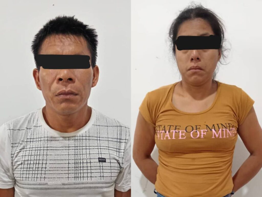 Policía desarticula presunta organización criminal dedicada al tráfico de drogas en San Martín