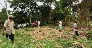 Colectivo Moyobamba 500 años y Rondas Campesinas del caserío Flor del mayo fortalecen alianza
