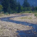 «San Martín en riesgo: Falta de prevención y descoordinación amenazan la lucha contra el cambio climático»