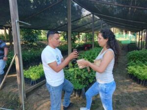 Proyecto Plátano presenta bolsas biodegradables