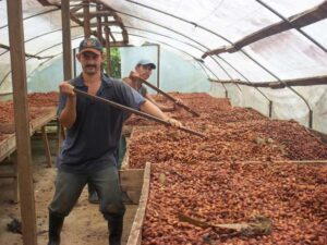 Nivel de cadmio en el suelo muestra límites por debajo de los permisibles