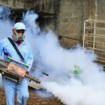 San Martín supera los 10 mil casos de dengue: Urgen acciones conjuntas ante la nueva variante