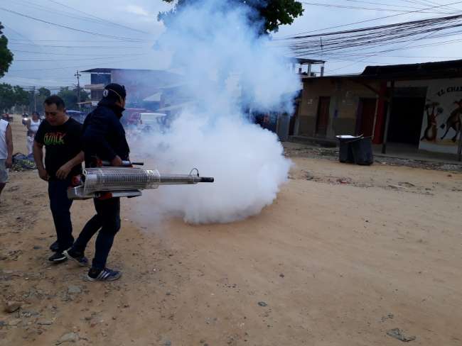 Confirman incremento de casos de Dengue en Tarapoto, Morales y La Banda de Shilcayo