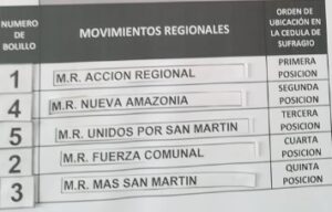 Sortearon ubicación de movimientos regionales en cédula de sufragio