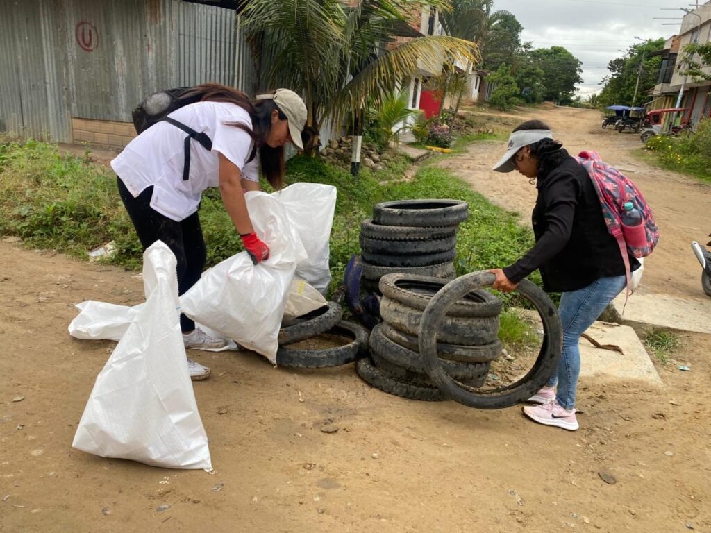Eliminan más de 20 toneladas de criaderos del zancudo transmisor del dengue en Moyobamba