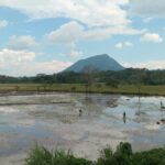 San Martín avanza en la actualización de su Zonificación Ecológica y Económica con respaldo del Minam y Midagri