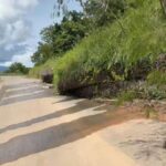 Deterioro de carretera Bellavista – El Dorado pone en riesgo el transporte y la economía de productores