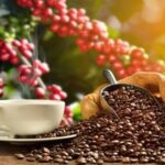 San Martín impulsa récord histórico de exportaciones de café peruano en 2025
