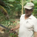 Cacao sostenible en la Amazonía: Cooperación suiza en Perú entre desarrollo rural e interés estratégico