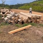 Golpe a la tala ilegal en la Amazonía: Más de 100 m³ de madera incautados en operativo conjunto
