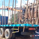 En Yurimaguas: Abren investigación penal y sancionan a responsables por arrojar basura en la carretera a Jeberillos