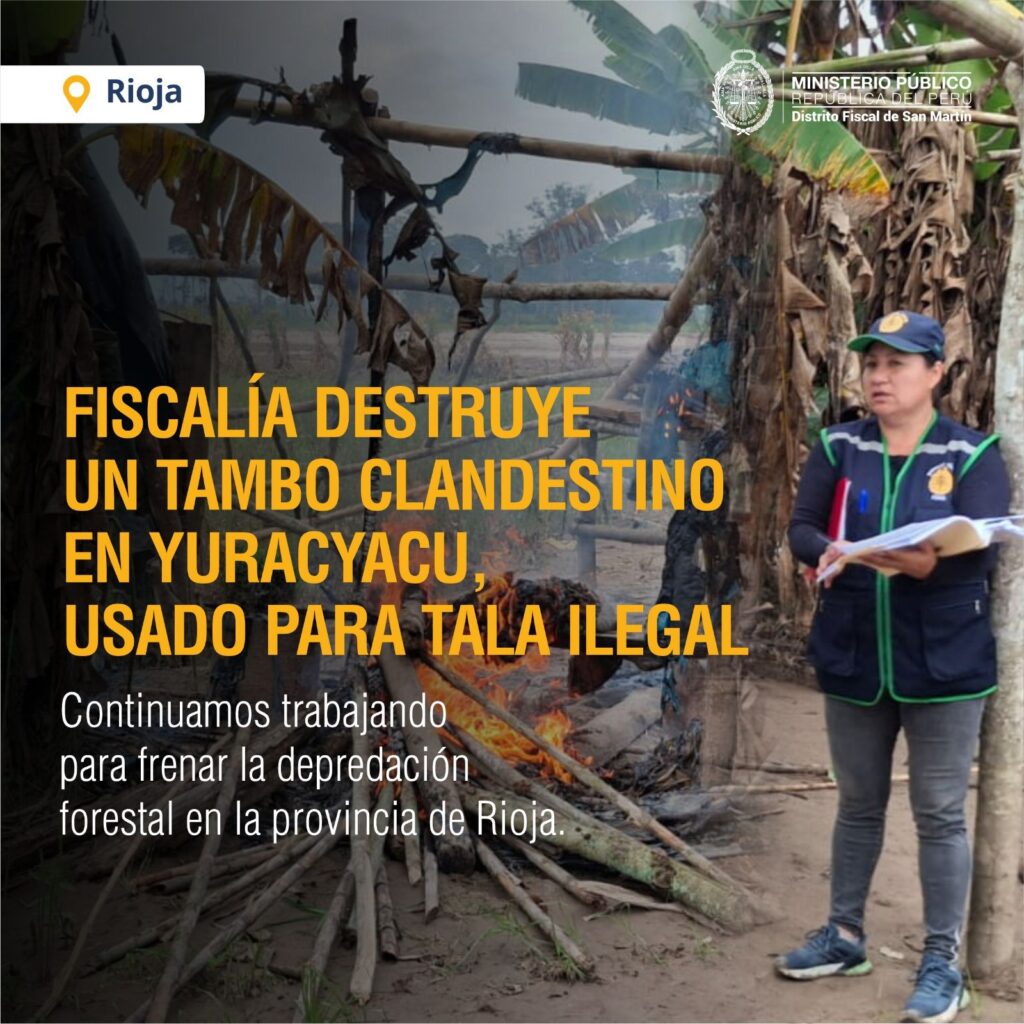 Fiscalía Ambiental de Moyobamba Ejecuta Interdicción por Tala Ilegal y Destruye Tambo Usado para Depredar Bosques en Yuracyacu