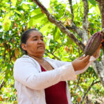 San Martín y la bioeconomía: De frontera extractiva a hub amazónico de innovación sostenible