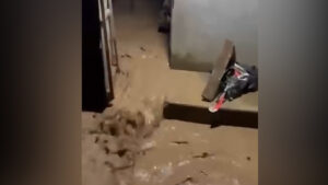 Río Shilcayo se desborda y genera alarma en la asociación de vivienda Señor de los Milagros