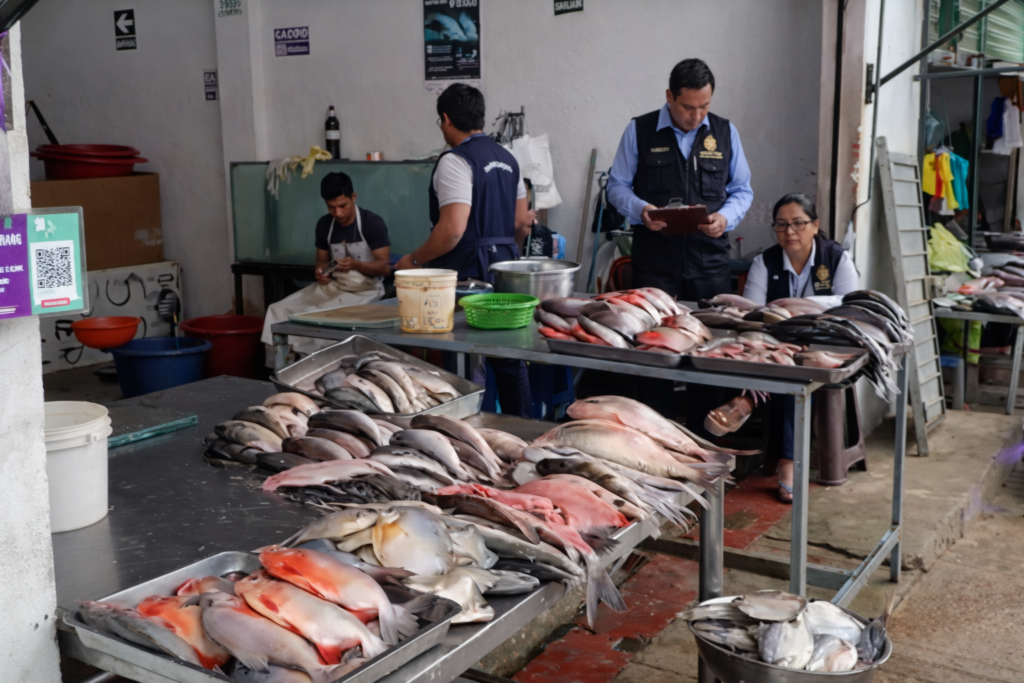 Intensifican operativos para garantizar venta de pescado fresco en Tarapoto