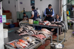 Intensifican operativos para garantizar venta de pescado fresco en Tarapoto