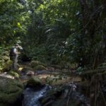 El peligroso espejismo del Proyecto de Ley 11822 que permite realizar actividades de hidrocarburos en zonas de protección