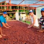 San Martín lidera la Amazonía en empleos vinculados a exportaciones y consolida su crecimiento regional en el 2025