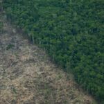 San Martín ordena su futuro: Zonificación forestal que puede salvar el agua, frenar conflictos y activar la economía del bosque