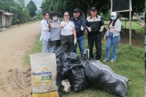 Más de 9 toneladas de criaderos del dengue fueron eliminados en la provincia de Huallaga