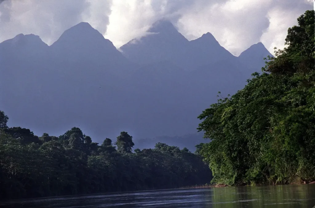 «Emprendedores por Naturaleza»: Anuncian financiamiento para bionegocios en zonas vinculadas al Parque Cordillera Azul