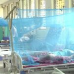 Loreto reporta más de 1,300 casos de dengue y mantiene alerta sanitaria