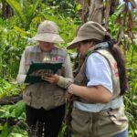 Saposoa rescata su memoria: Valiosos bienes culturales vuelven al resguardo del Estado